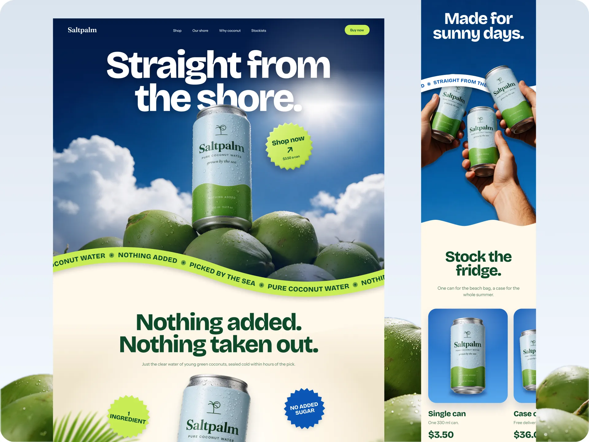 Saltpalm, landing page concept