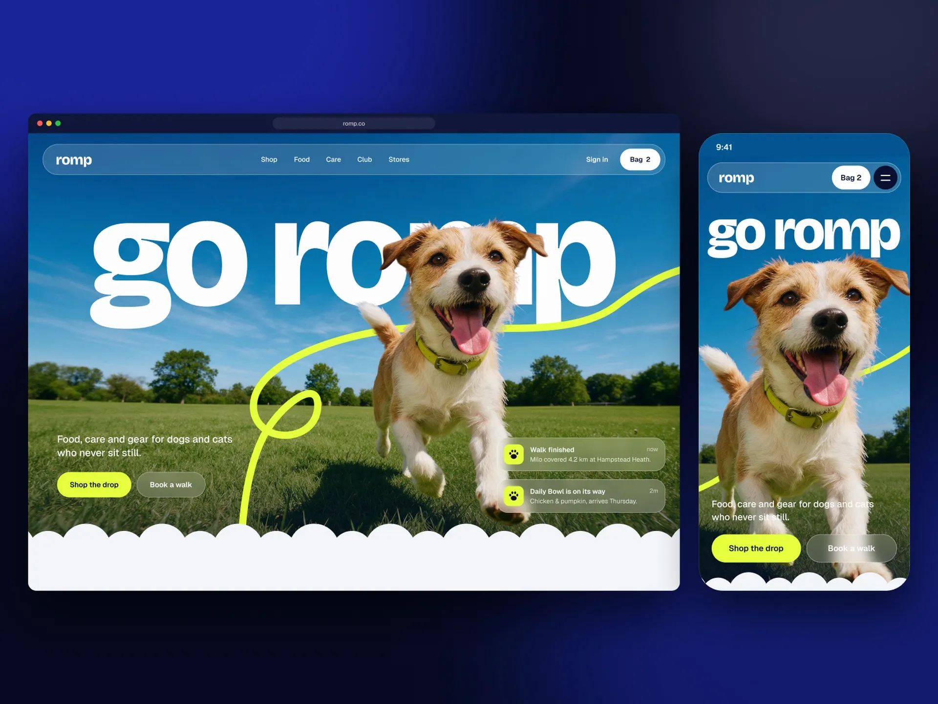 Romp pet care, landing page concept